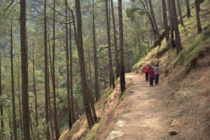 Delhi to Haldwani taxi