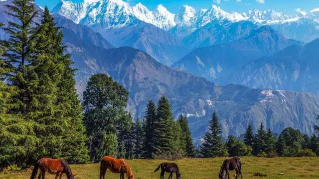 Haldwani to Pithoragarh Taxi