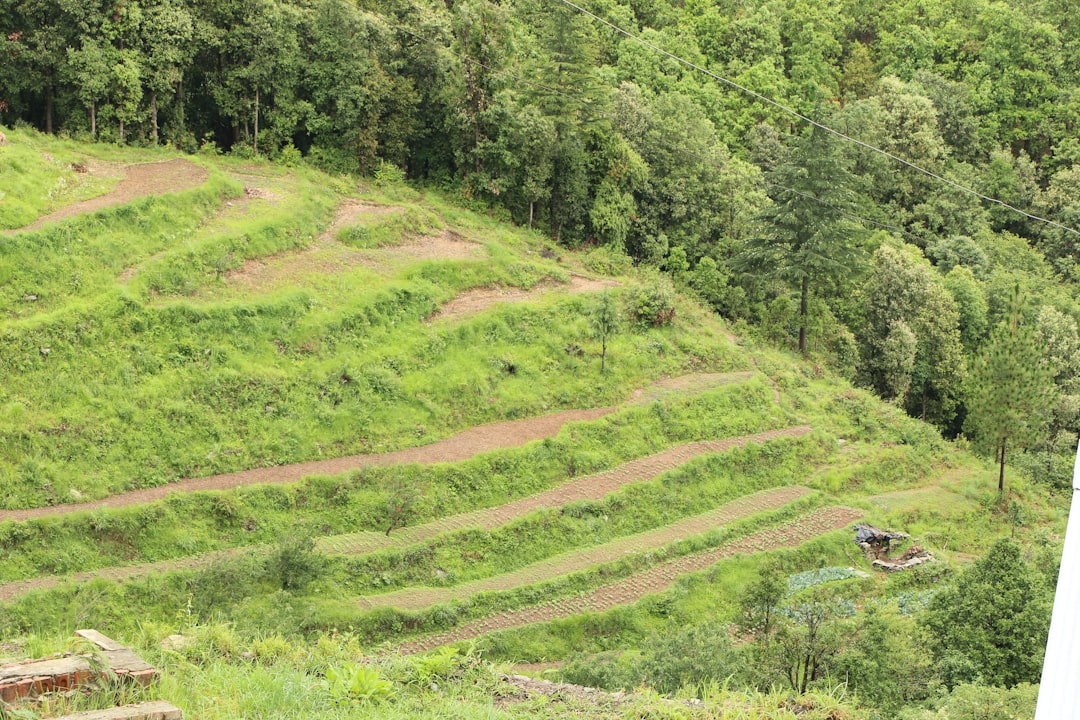 Dehradun to Ranikhet Cab