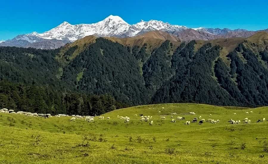 Taxi service in Uttarkashi
